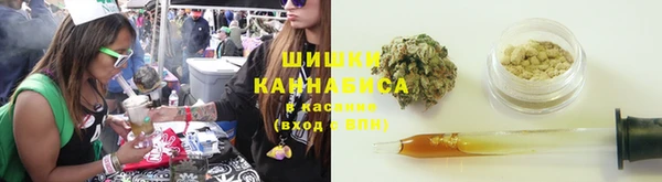 индика Кодинск