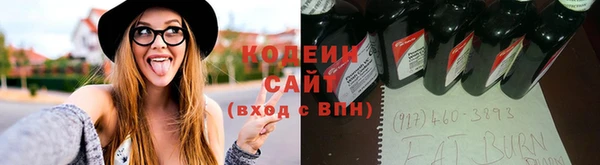 индика Кодинск