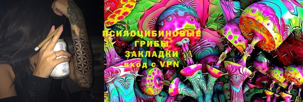индика Кодинск
