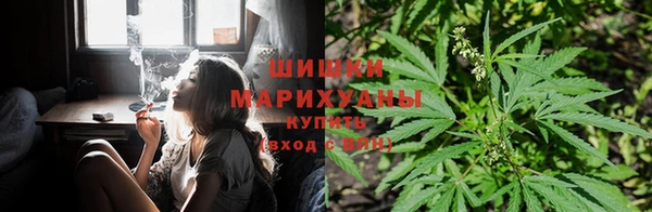 индика Кодинск