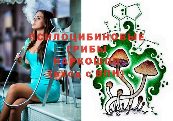 тгк Козельск