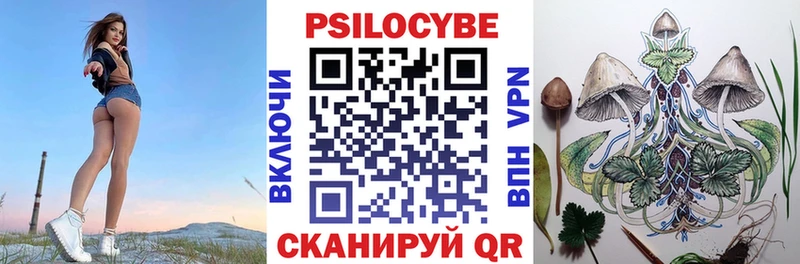 Псилоцибиновые грибы мицелий Заполярный