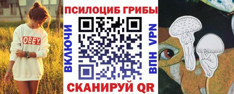 Галлюциногенные грибы мухоморы  Купить где  Заполярный 